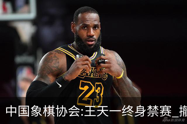 中国象棋协会:王天一终身禁赛 撤销特大等称号