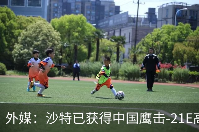 外媒：沙特已获得中国鹰击-21E高超音速反舰导弹，最大射程可达1500公里