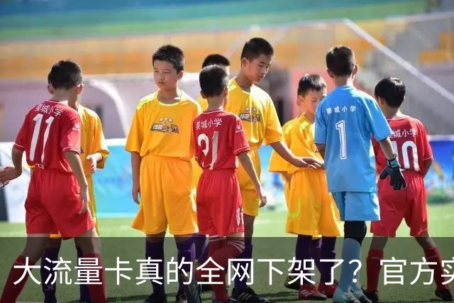 大流量卡真的全网下架了？官方实测：没绝版，只是换了入口！