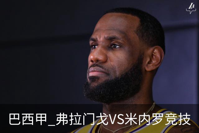 巴西甲 弗拉门戈VS米内罗竞技