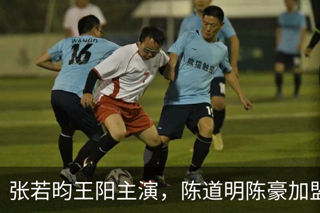 张若昀王阳主演，陈道明陈豪加盟，国产谍战剧终于迎来高潮