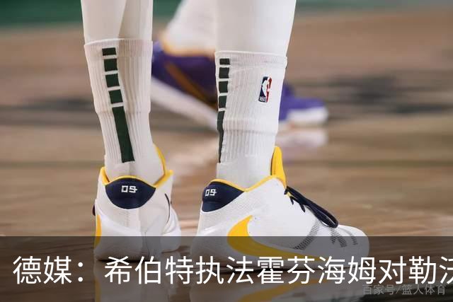 德媒：希伯特执法霍芬海姆对勒沃库森伤退，哈特曼接任