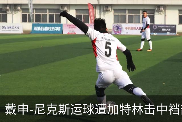 戴申-尼克斯运球遭加特林击中裆部，裁判回看后吹罚破坏性犯规