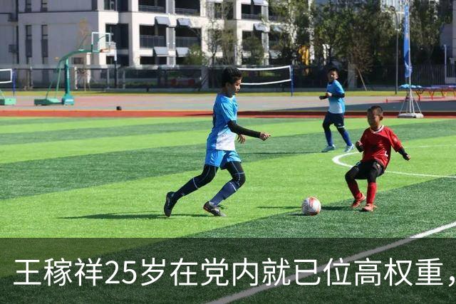 王稼祥25岁在党内就已位高权重，怎么后来地位一路走低，遗憾收场