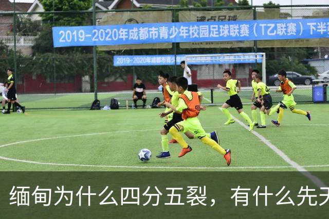 缅甸为什么四分五裂，有什么先天劣势？