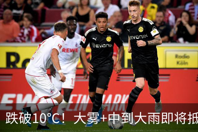 跌破10℃！大雾+中到大雨即将抵达