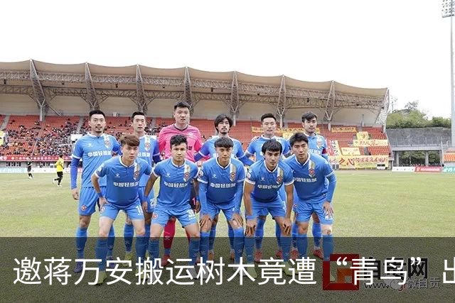 邀蒋万安搬运树木竟遭“青鸟”出征，清洁队长：我好内疚、很难过