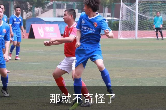 那就不奇怪了