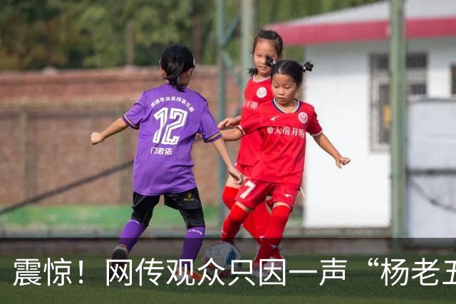 震惊！网传观众只因一声“杨老五”，相声演员杨议台上怒骂购票观众三分钟，逼其道歉
