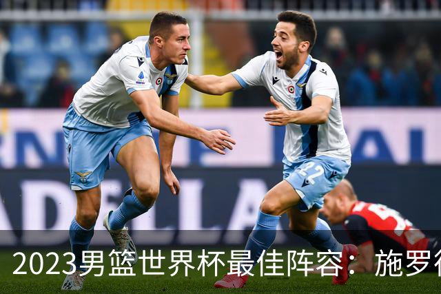 2023男篮世界杯最佳阵容：施罗德东契奇领衔