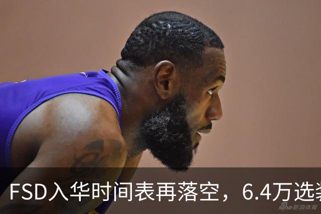 FSD入华时间表再落空，6.4万选装率仅1.5%